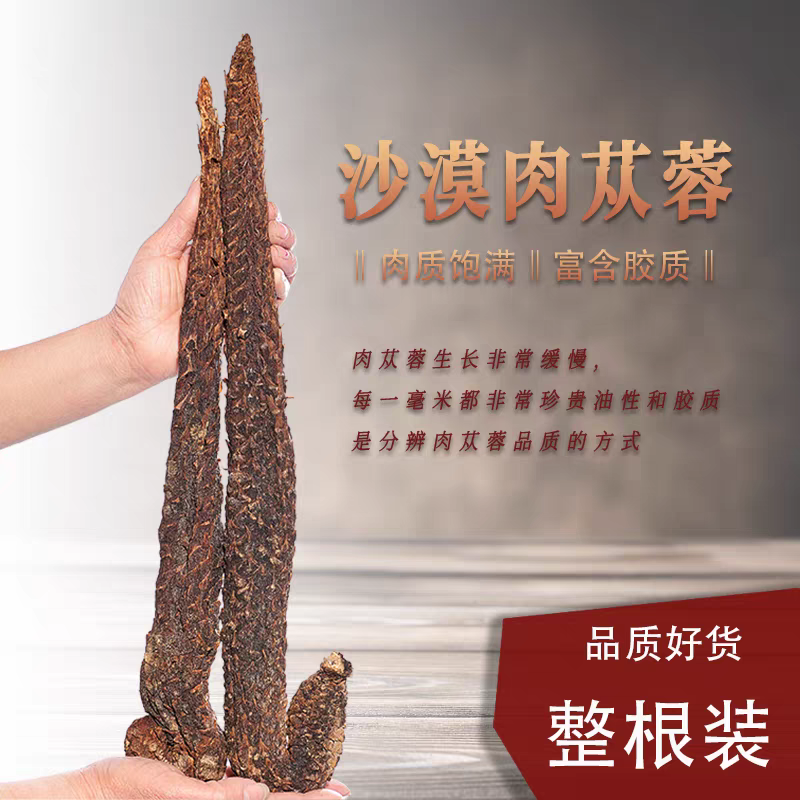 内蒙古阿拉善肉苁蓉整根干货带锁Y