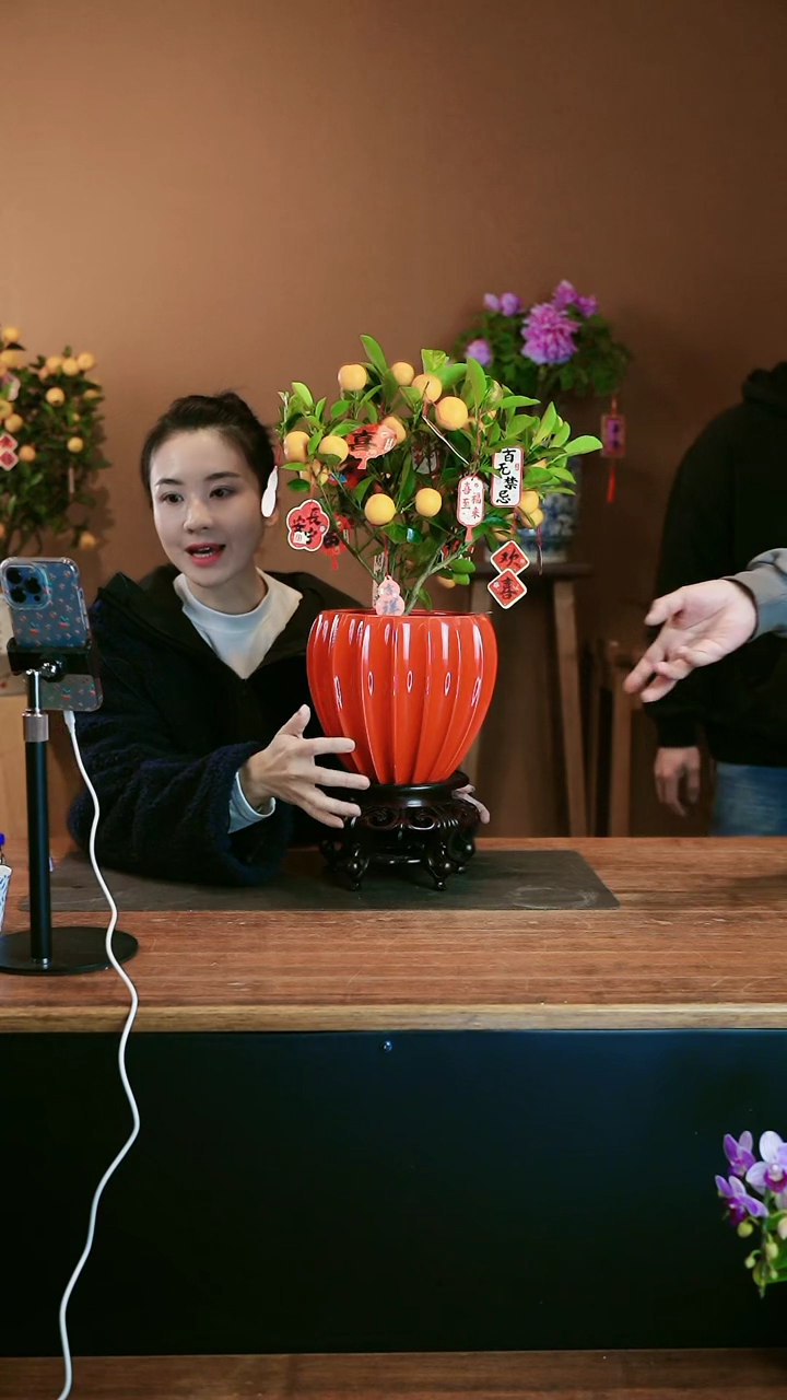 【闪购商品】盆景小金橘 红