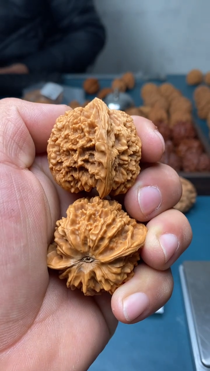 把件文玩核桃满天星42左右340