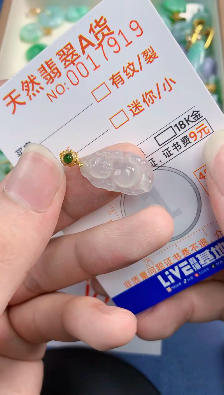 翡翠未镶嵌颈饰       1