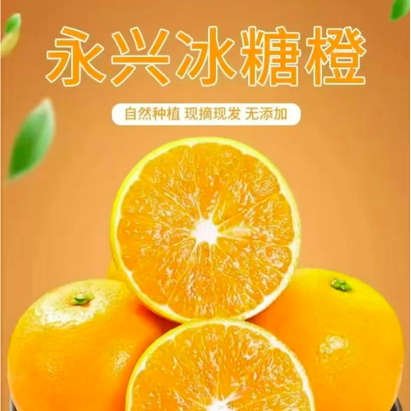 湖南正宗永兴冰糖橙纯甜现摘现发香甜多汁当季新鲜水果纯甜冰糖橙