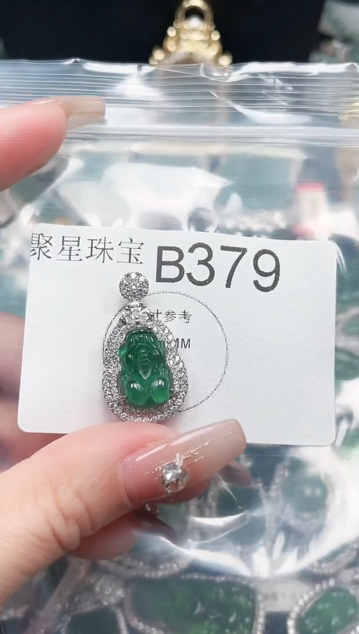 【闪购商品】翡翠颈饰未镶嵌赠皮绳379