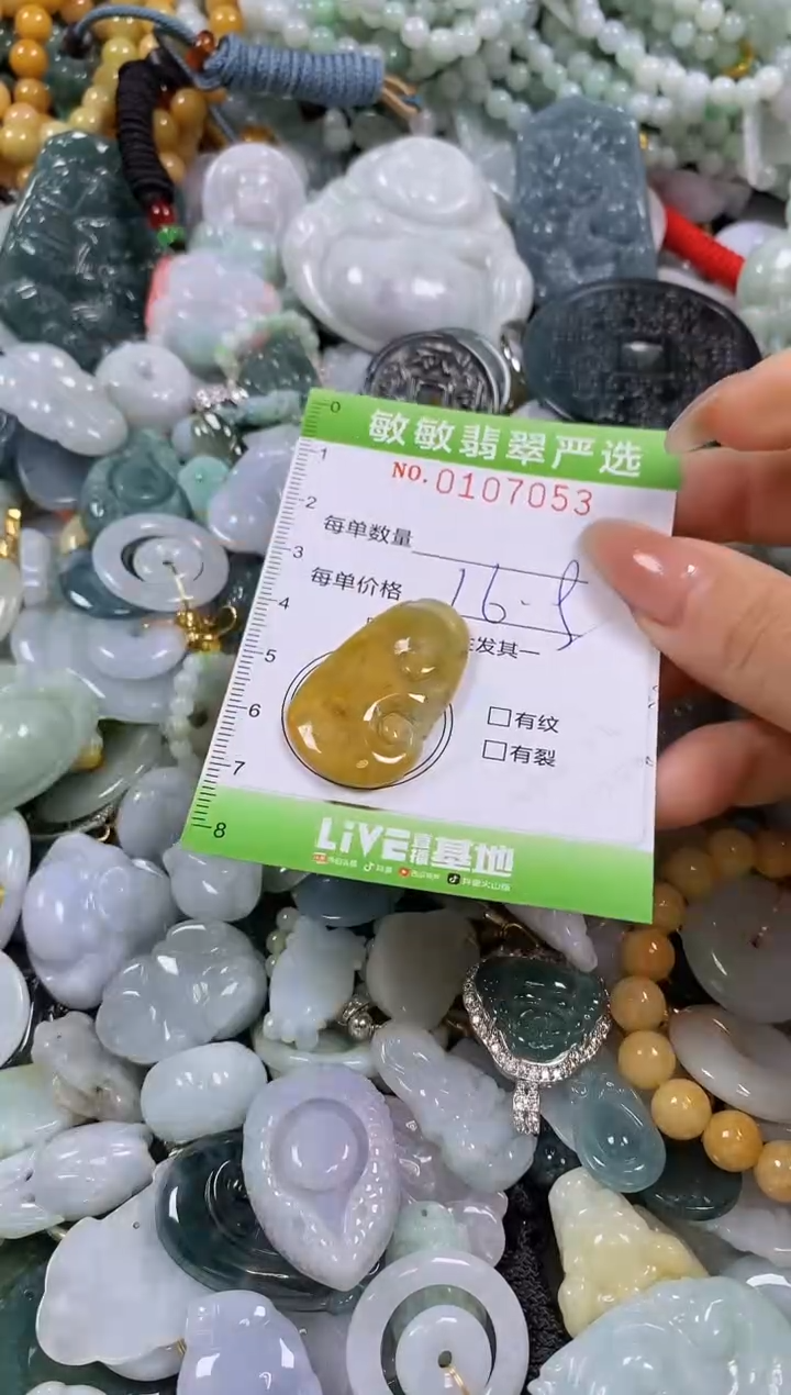 【闪购商品】翡翠颈饰未镶嵌闪购0107053