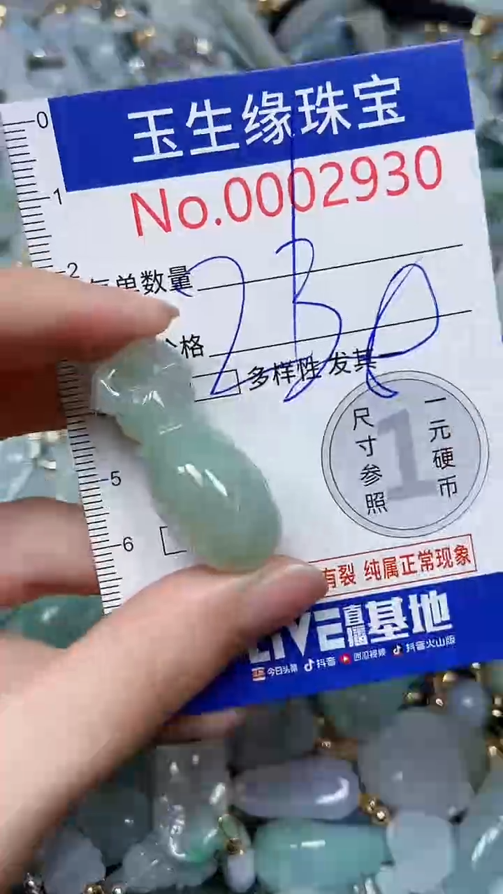 【闪购商品】翡翠颈饰未镶嵌闪购00002930