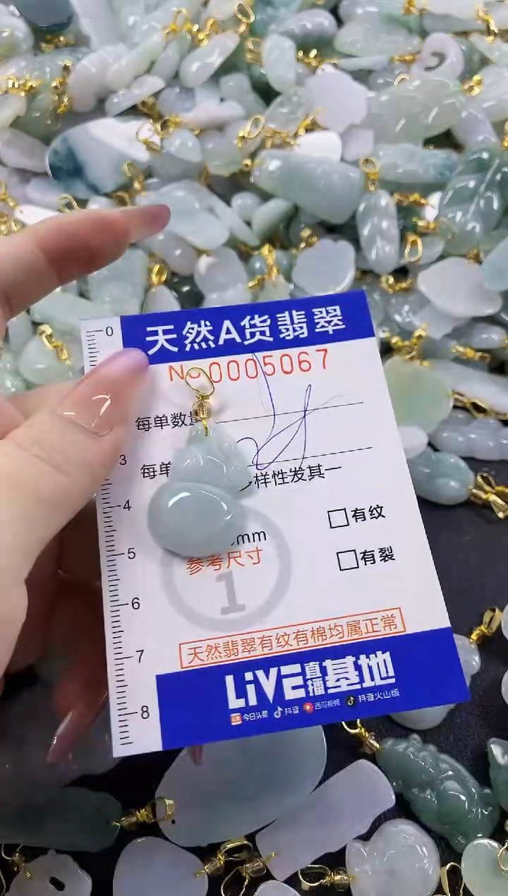 颈饰未镶嵌翡翠天然A货翡翠