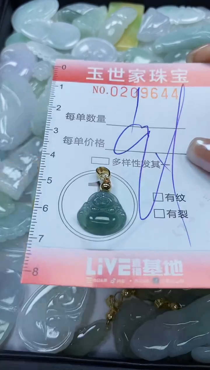 【闪购商品】翡翠颈饰未镶嵌闪购0209644