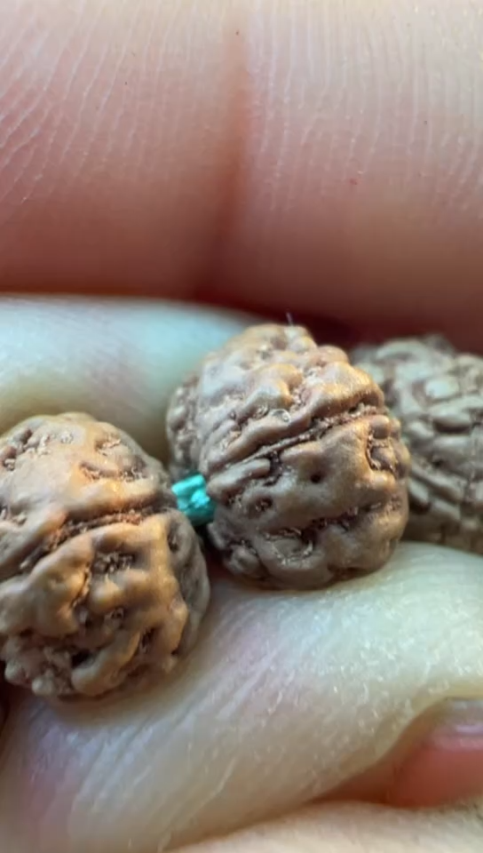 【闪购商品】金刚菩提手串560紫皮勿利达老树王9-13