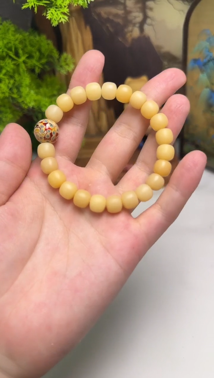 手串菩提根/象牙果干磨高钙奶香槟色大漆