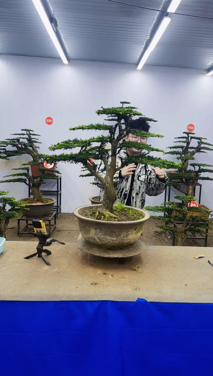 完全开放一物一拍，所见即所得1