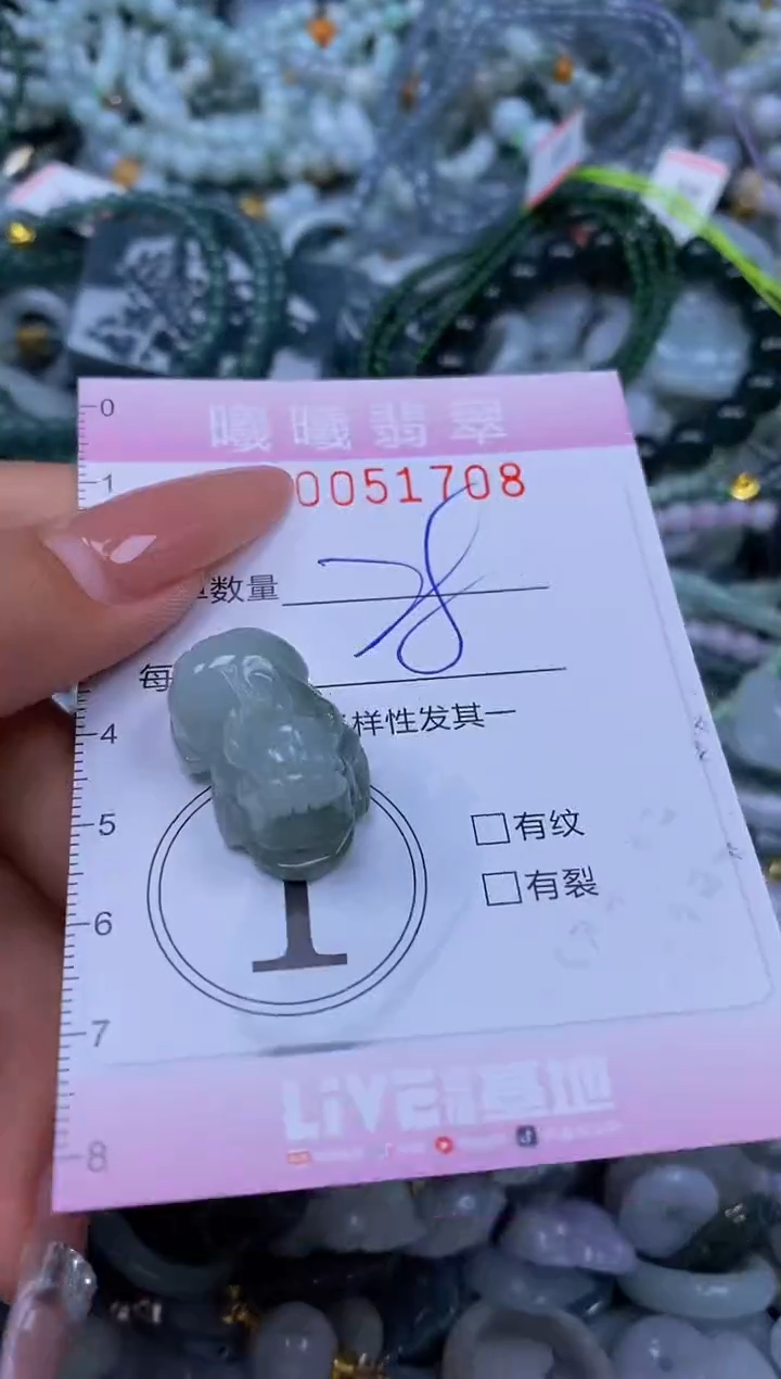 颈饰未镶嵌翡翠闪购0051708