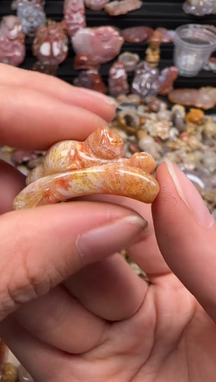 【闪购商品】硅化珊瑚（珊瑚玉）颈饰未镶嵌174