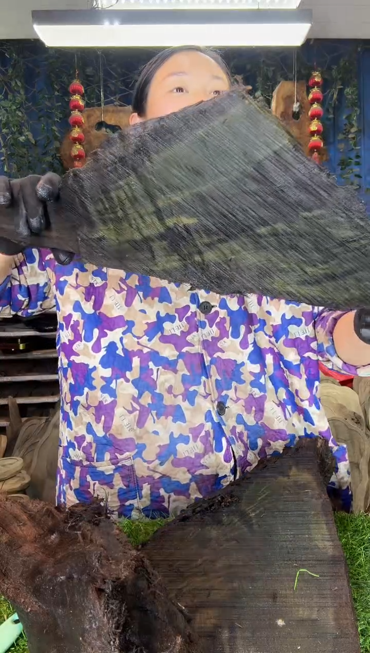 金丝楠小叶桢楠26