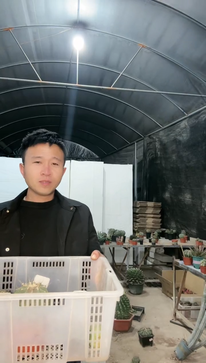 【闪购商品】筐拍 8号