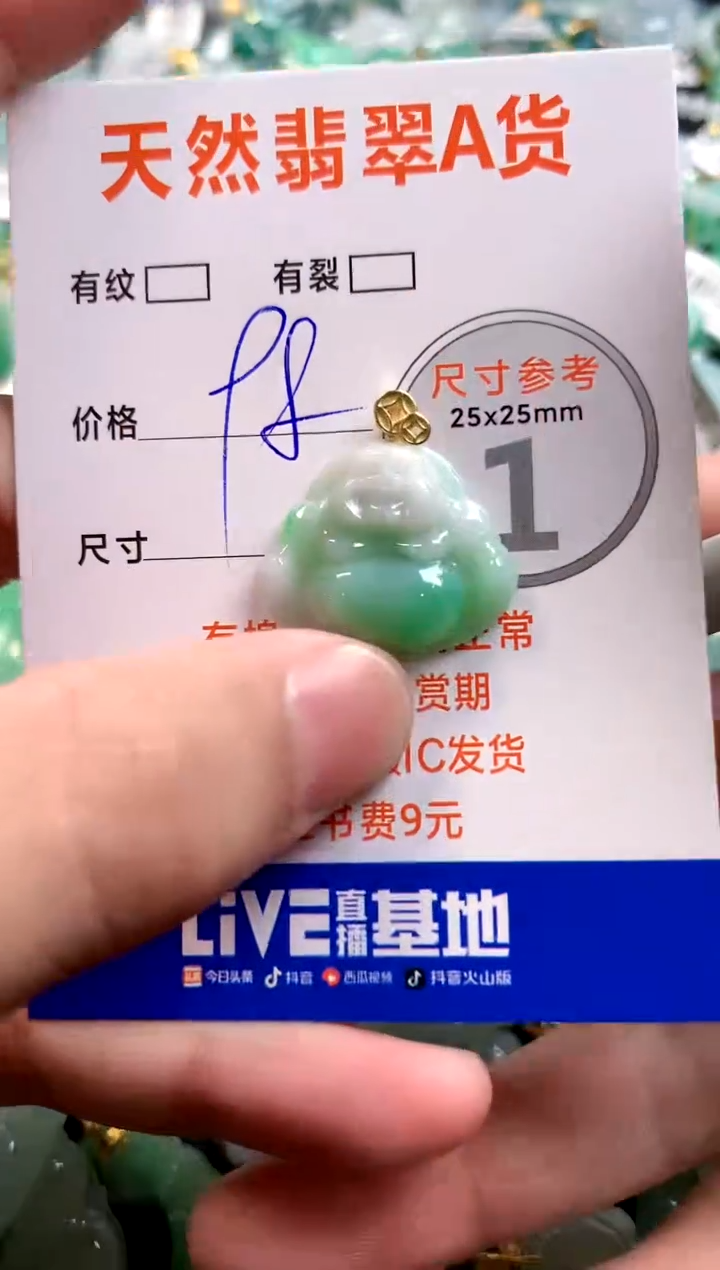 颈饰未镶嵌翡翠13006750