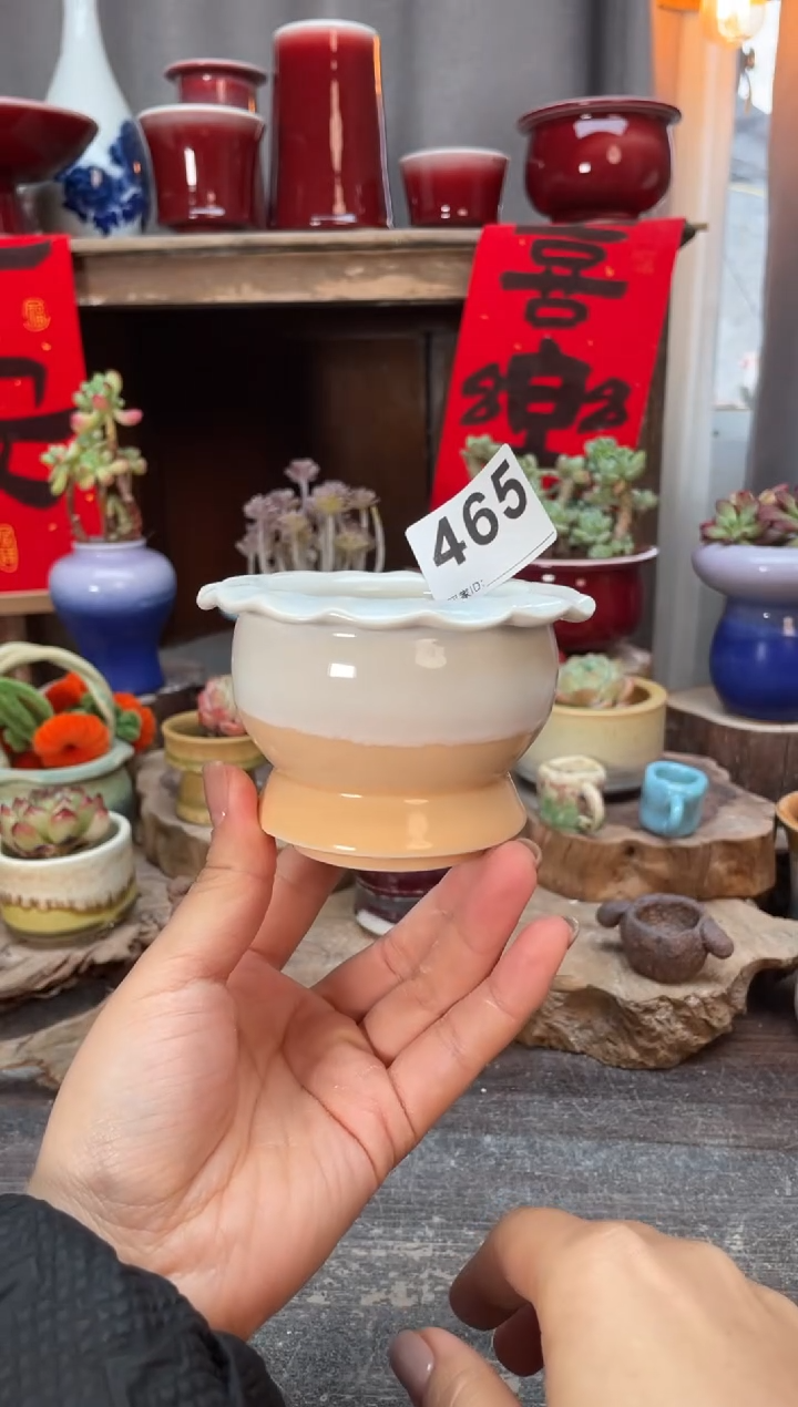 【闪购商品】摆件465知木小芳花盆