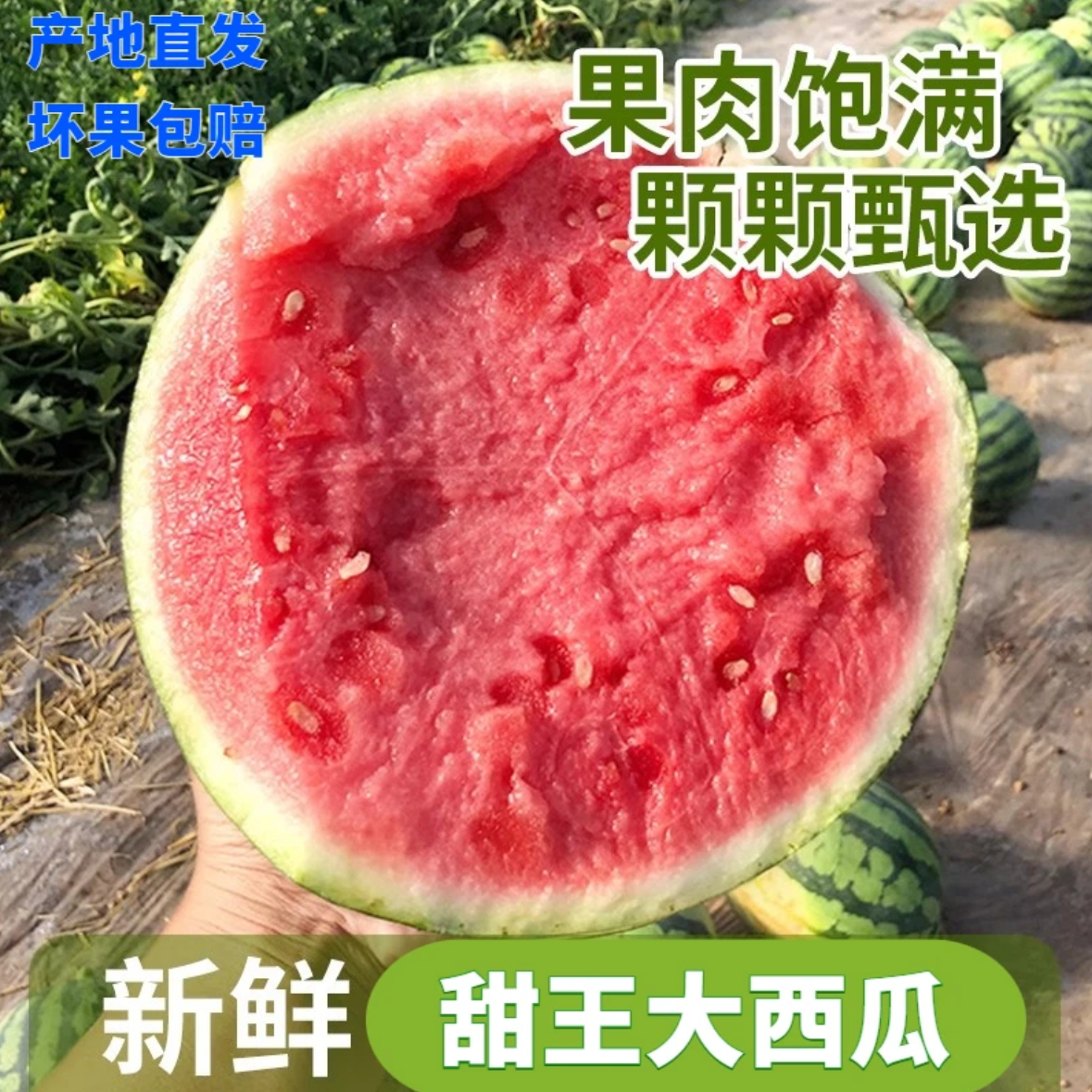 当季云南甜王西瓜新鲜采摘产地直发高甜度品种新鲜时令水果