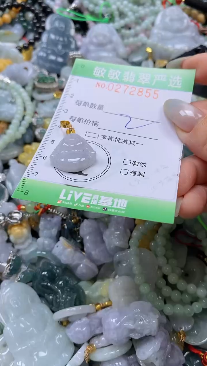 翡翠未镶嵌颈饰闪购0272855