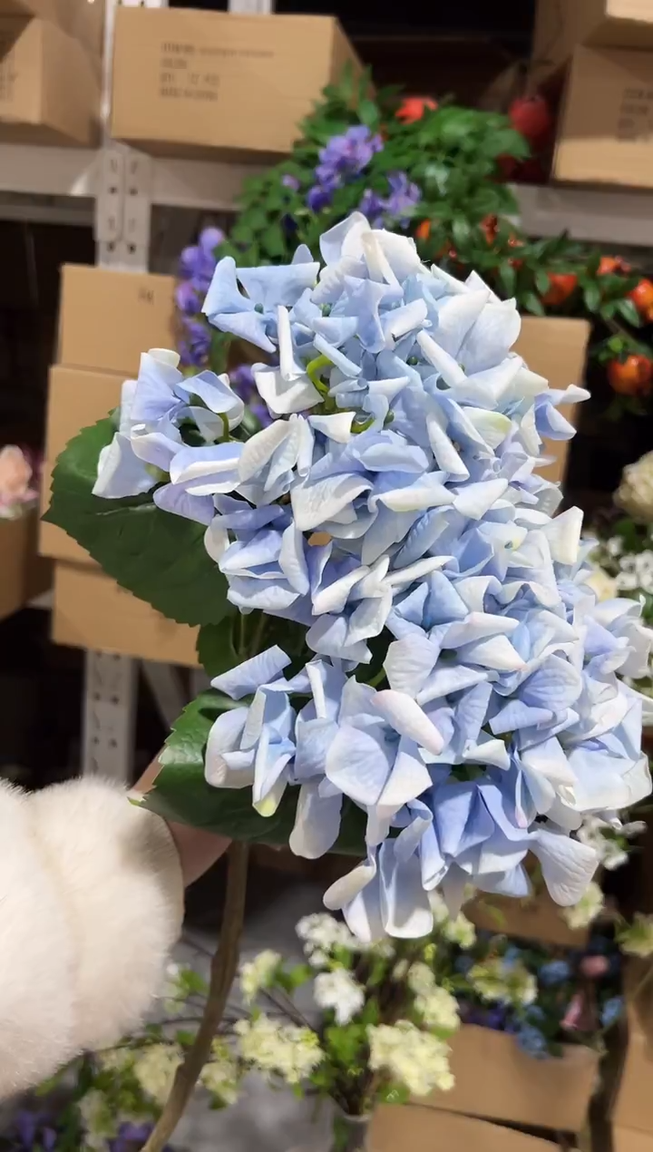 2枝蓝色手感保湿绣球