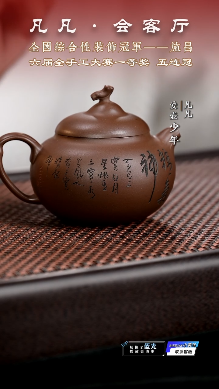 茶壶紫砂凡凡会客厅 紫砂壶18 茄瓜紫泥100cc