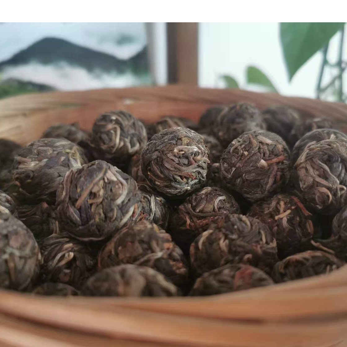 通用链接云南临沧凤庆秘境古茶园普洱生茶龙珠（挑采古树纯料）