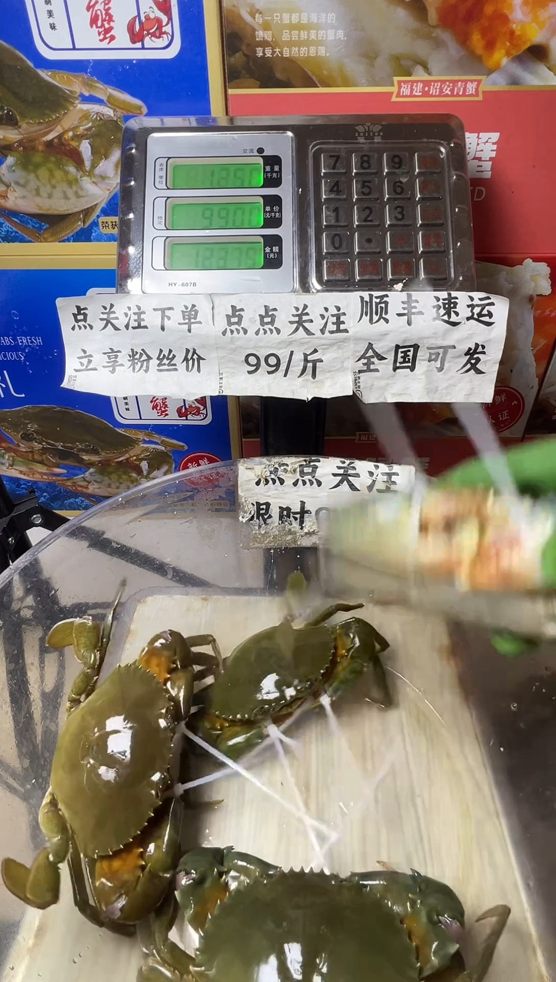 中国大陆福建漳州青蟹