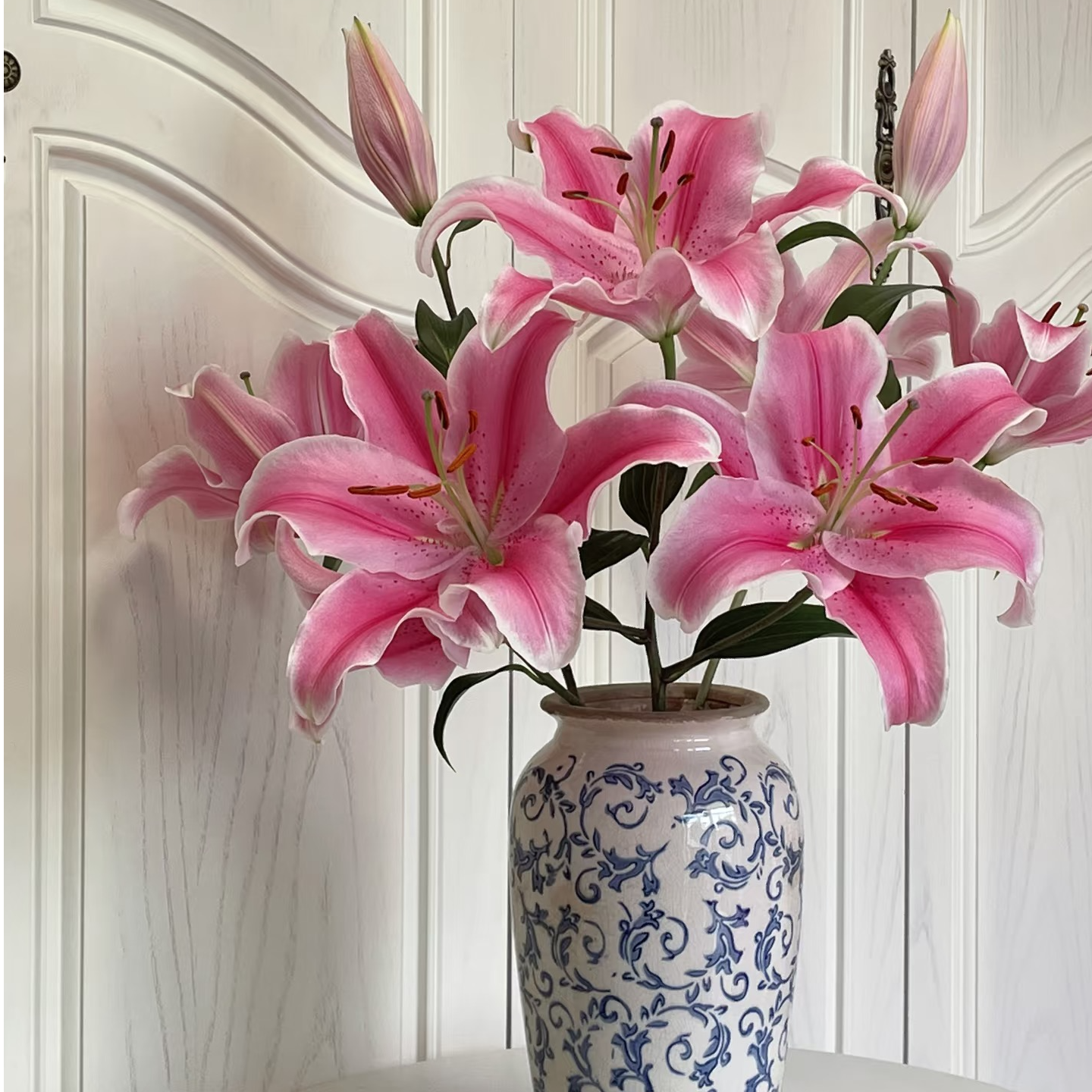 【花站】家居办公生活精选粉色系索尔邦百合