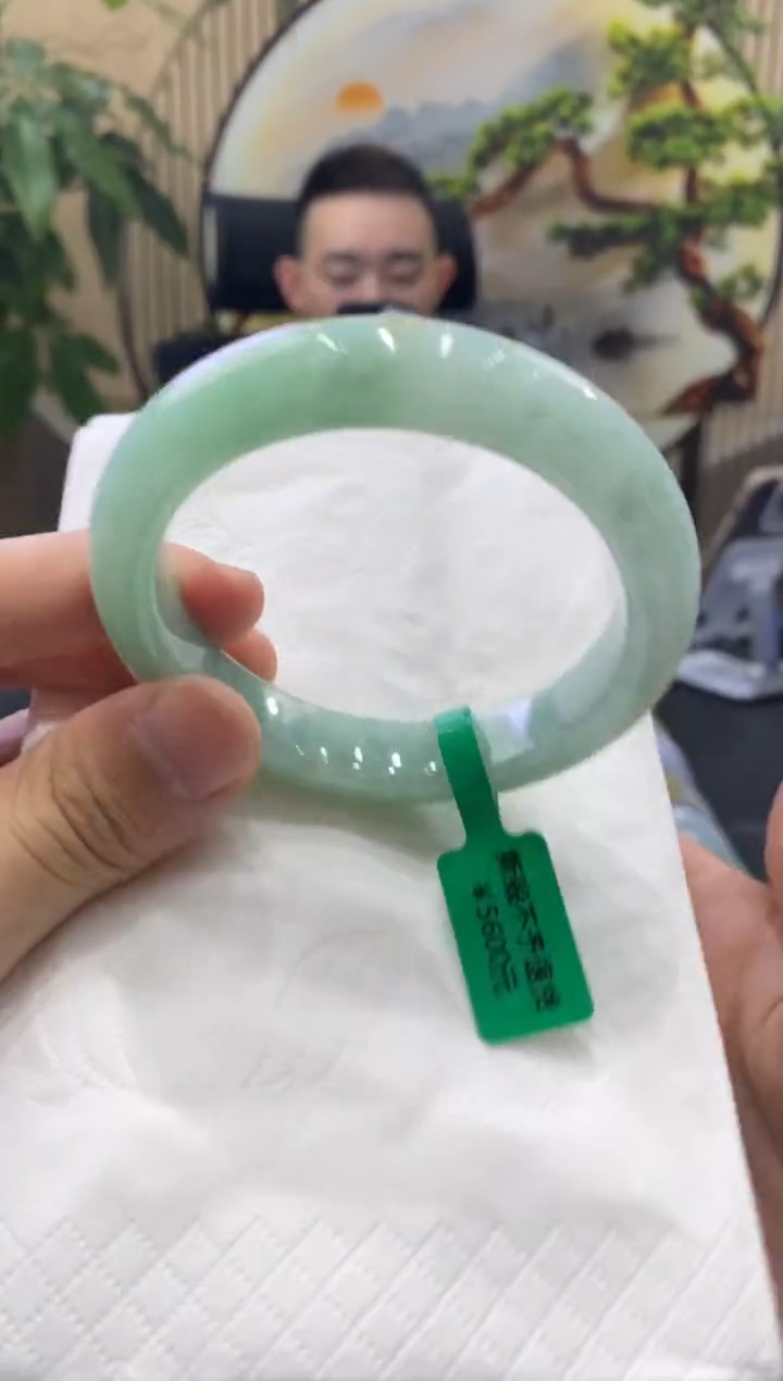 未镶嵌手镯翡翠4067