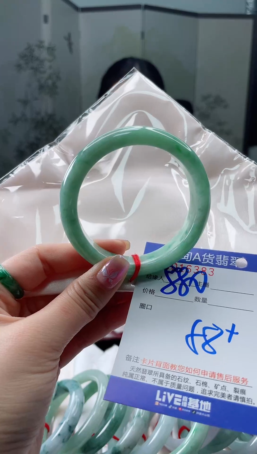 未镶嵌手镯翡翠2