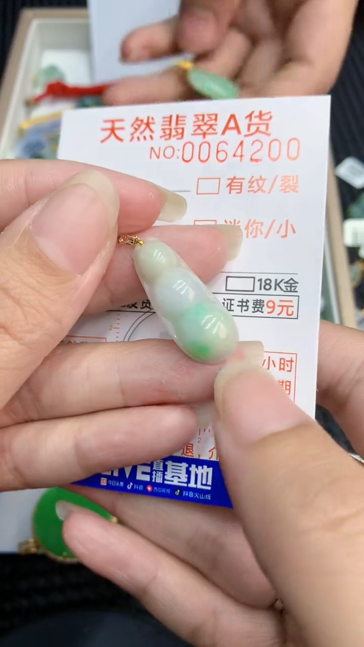 【闪购商品】翡翠颈饰18K金镶嵌            8