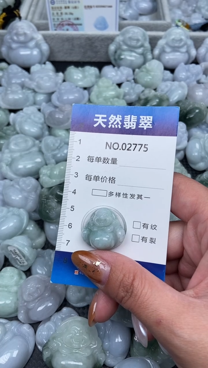 颈饰未镶嵌翡翠纯天然A货翡翠6775