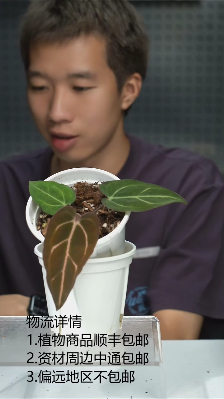 完全开放卡拉RA5*RA10