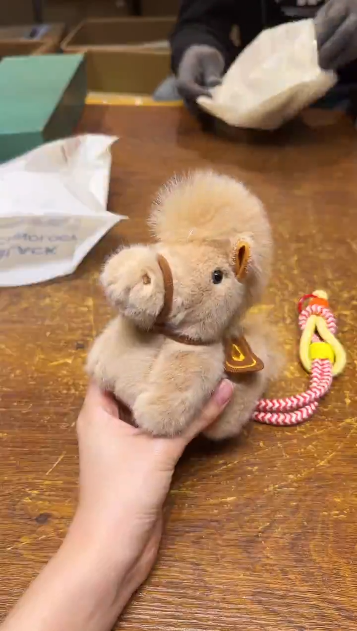 小狐狸严选日瓷器小狐狸精选日瓷器