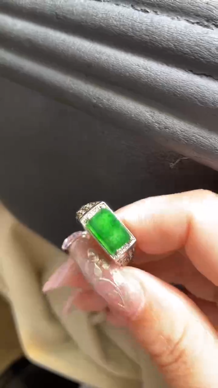 【闪购商品】翡翠颈饰未镶嵌      *47