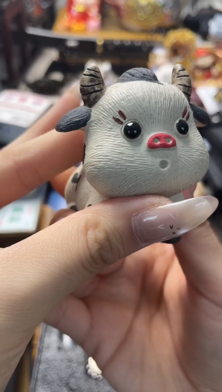 666666666666666666茶宠