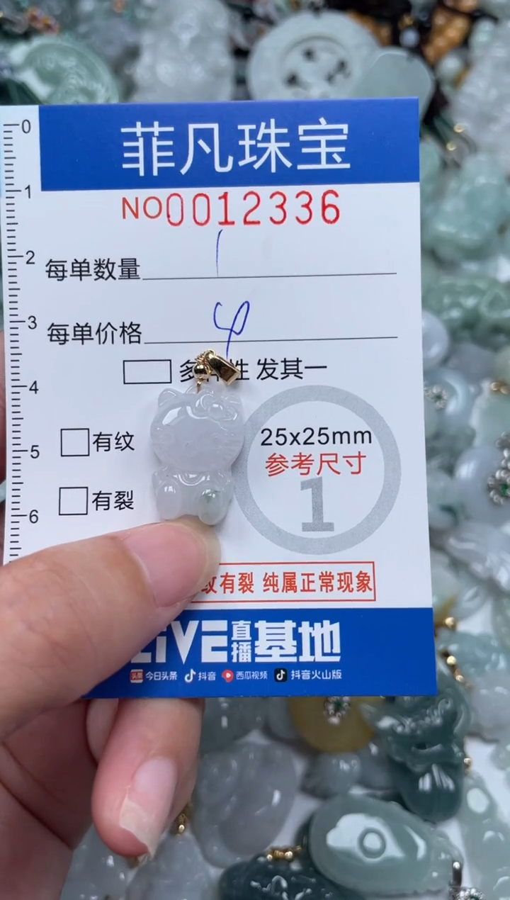 颈饰未镶嵌翡翠12336
