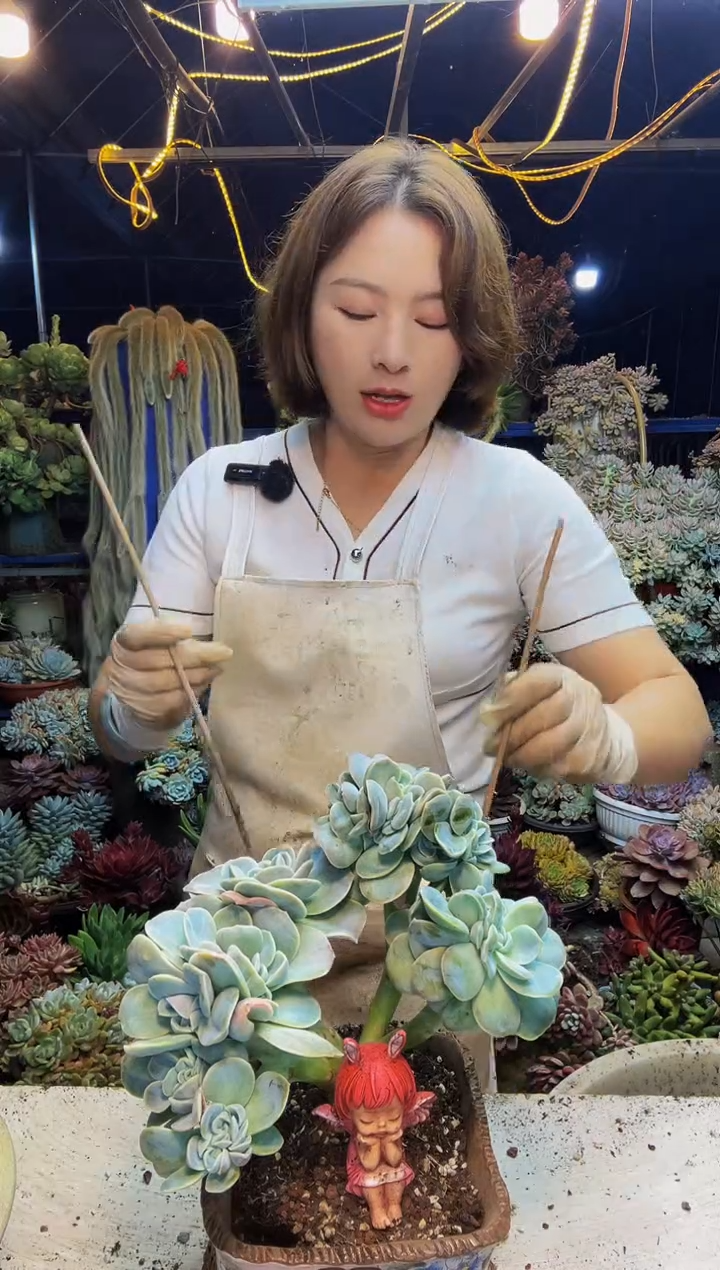 可爱玫瑰缀脱土包邮