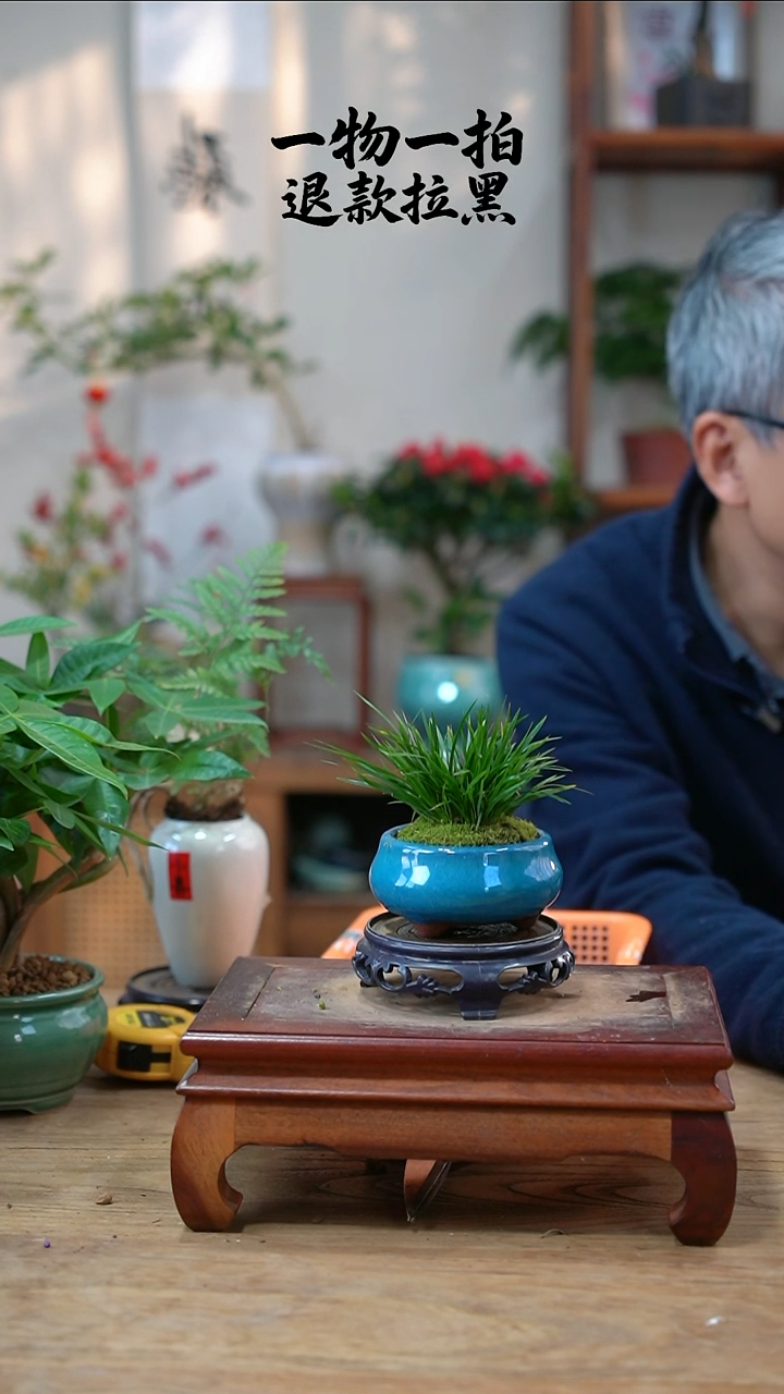 完全开放小****?菖蒲472