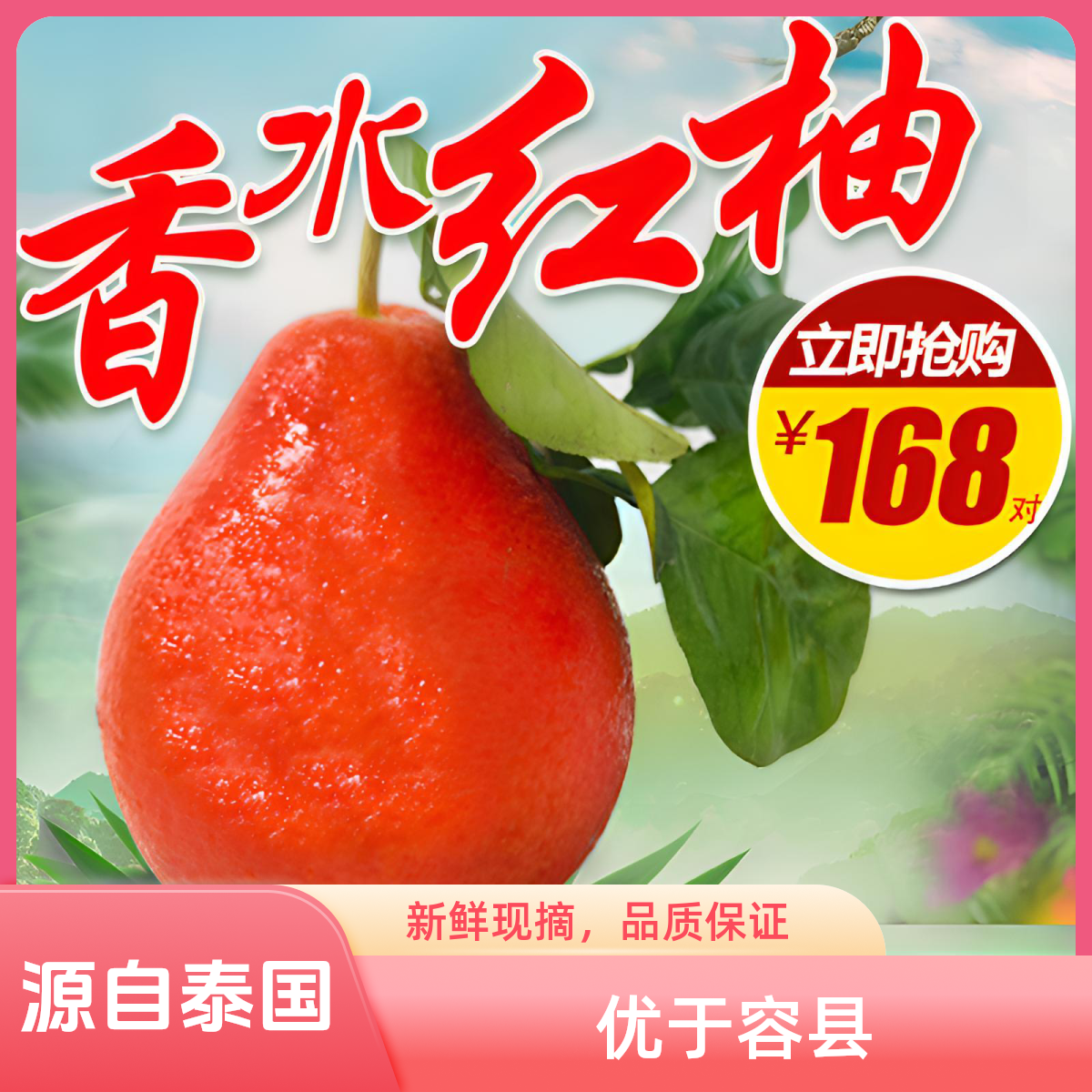 ZEMSEEHO/甄识货容县香水红柚高档水果礼盒喜庆送礼佳品广西柚子