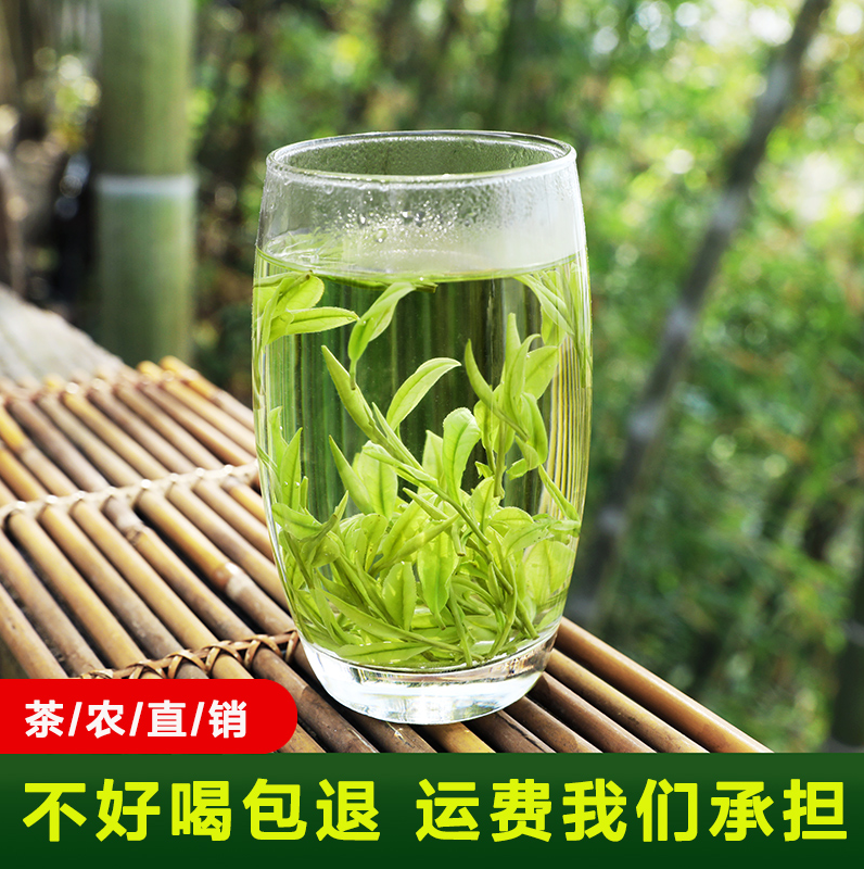 【杨老六专属】白茶 新茶雨前高山春茶浓香奶泡高山绿茶新茶