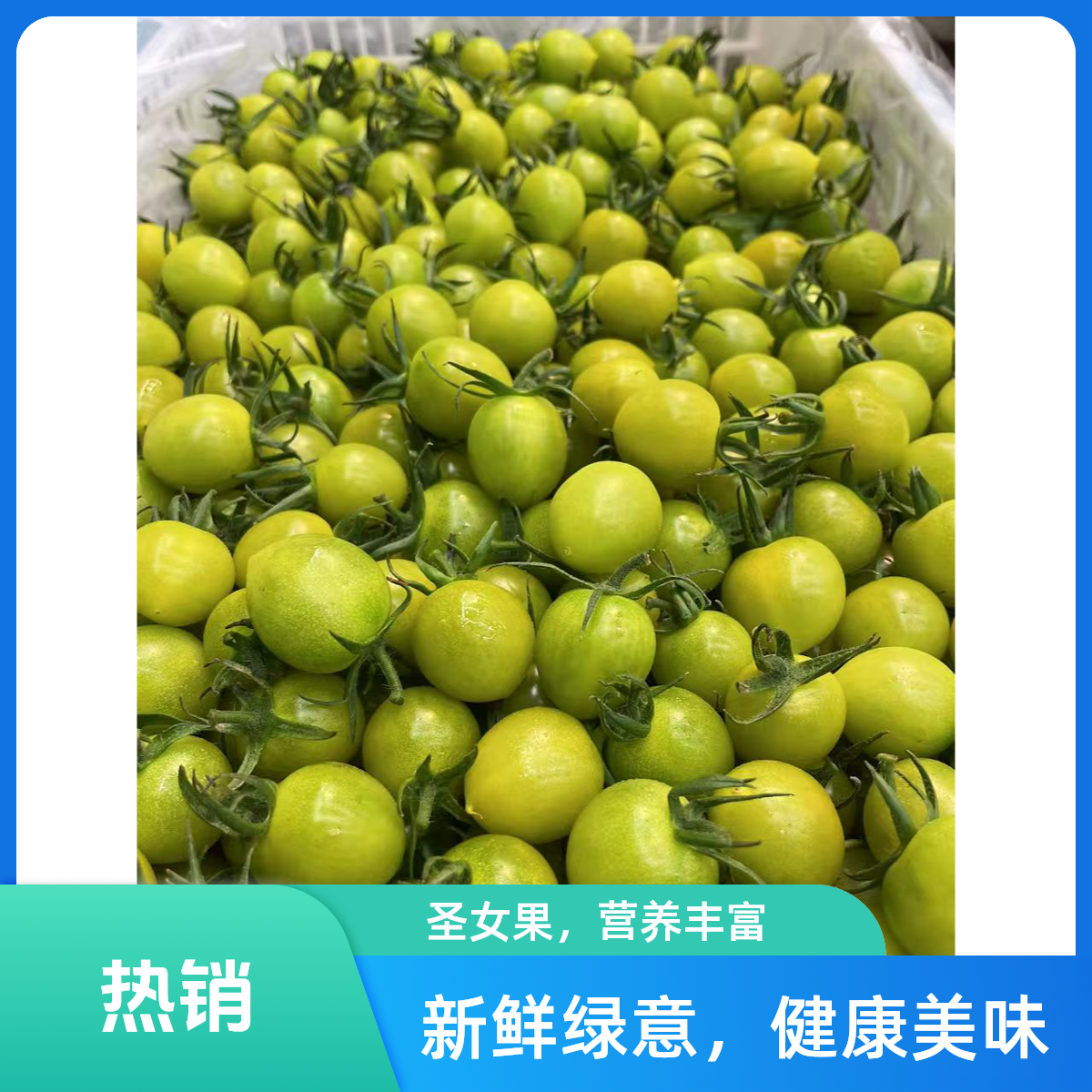 青千禧千禧果500g新鲜番茄小番茄同城配青蜜千禧果山东省