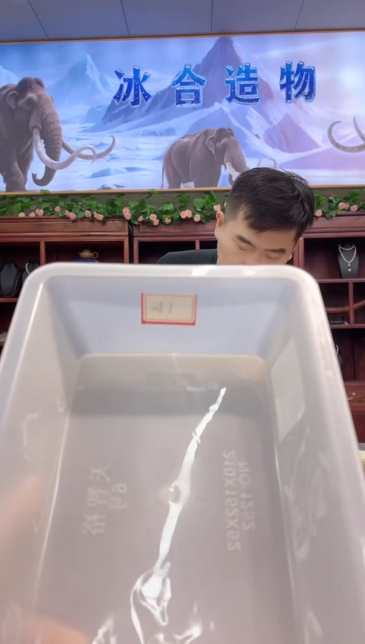猛犸猛犸++++++1