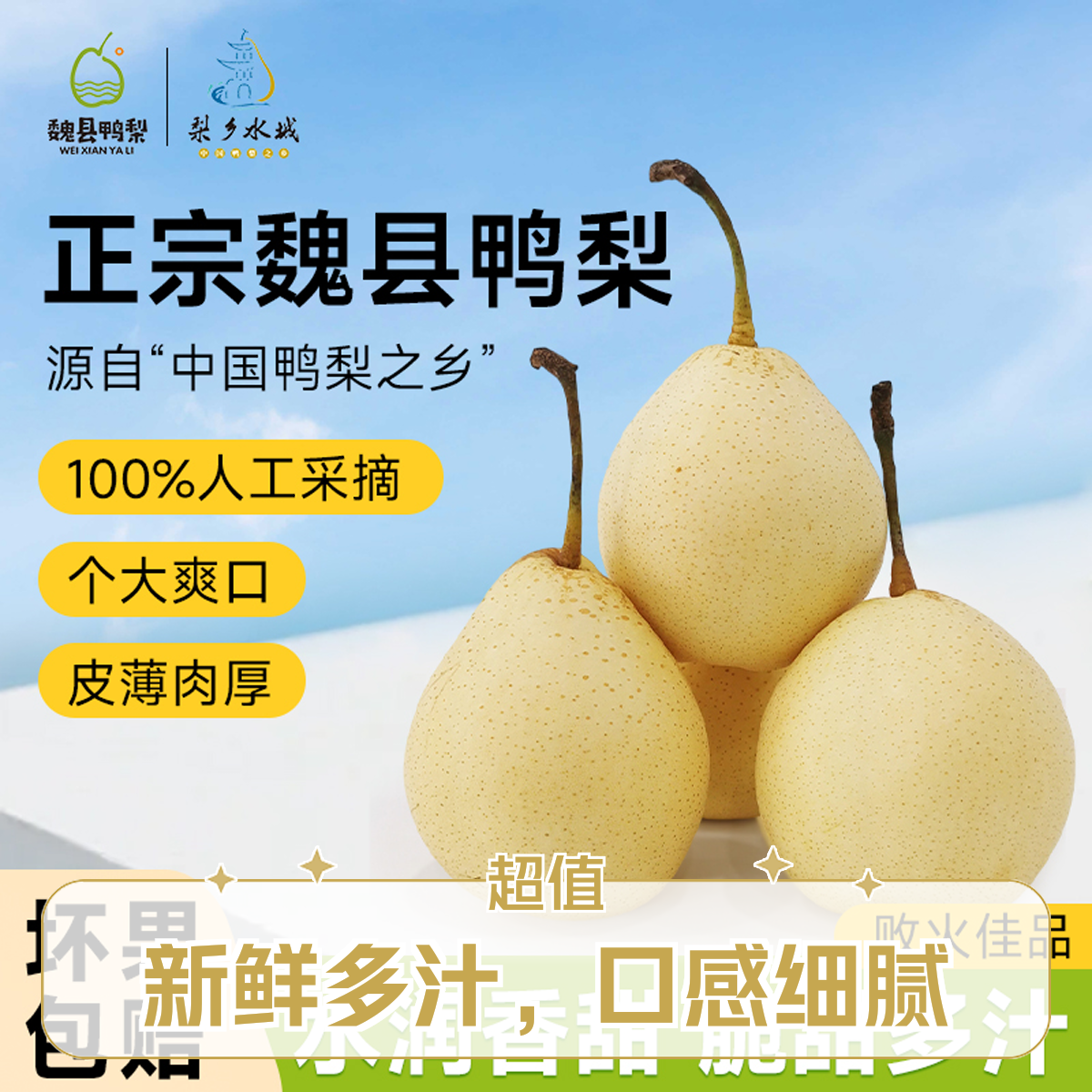 【顺丰包邮】魏县正宗鸭梨黄金脆梨水果水晶梨香酥脆甜一梨四吃拍四斤送半斤现摘鸭梨河北省