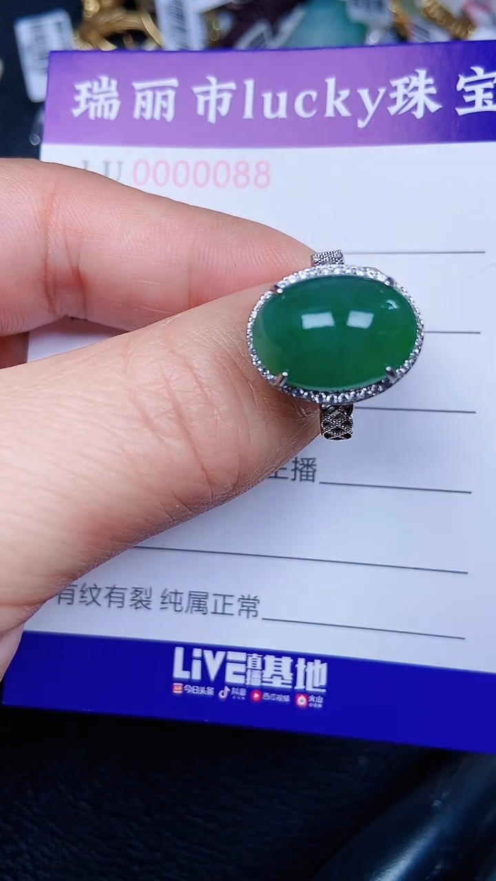 颈饰银S925镶嵌翡翠0088