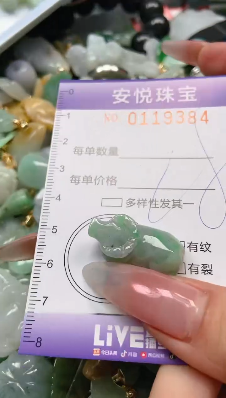 【闪购商品】翡翠颈饰未镶嵌闪购0119384