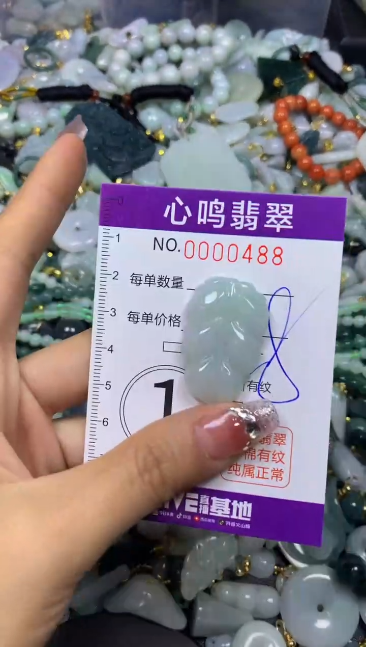 【闪购商品】翡翠颈饰未镶嵌闪购00488