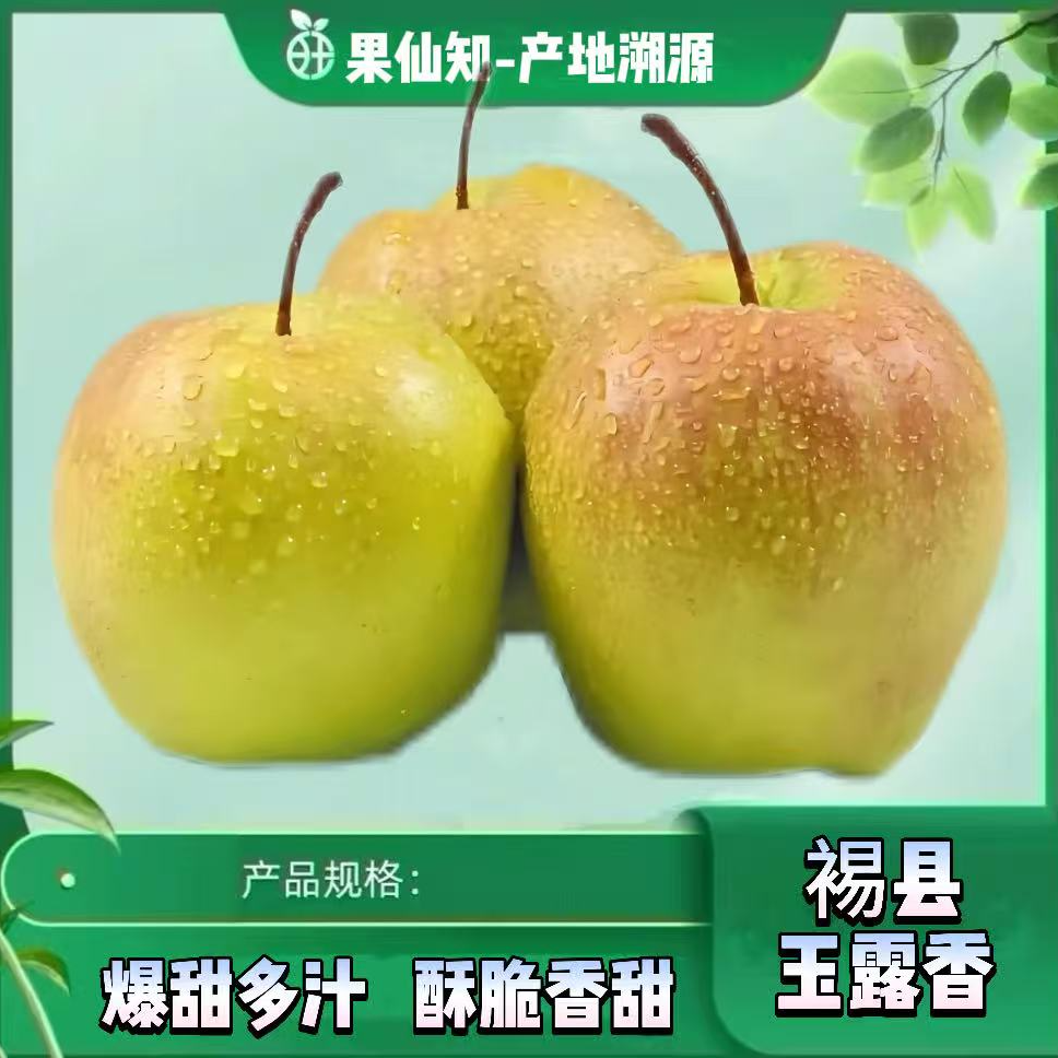【隰县】玉露香梨【皮薄汁水足】4.8斤左右