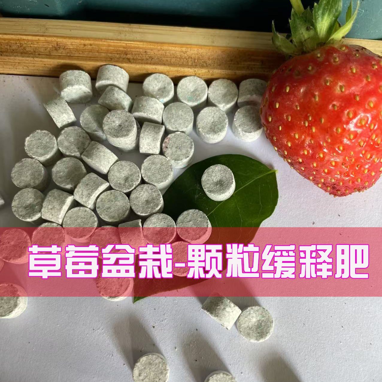草莓盆栽伴侣-缓释肥草莓盆栽用