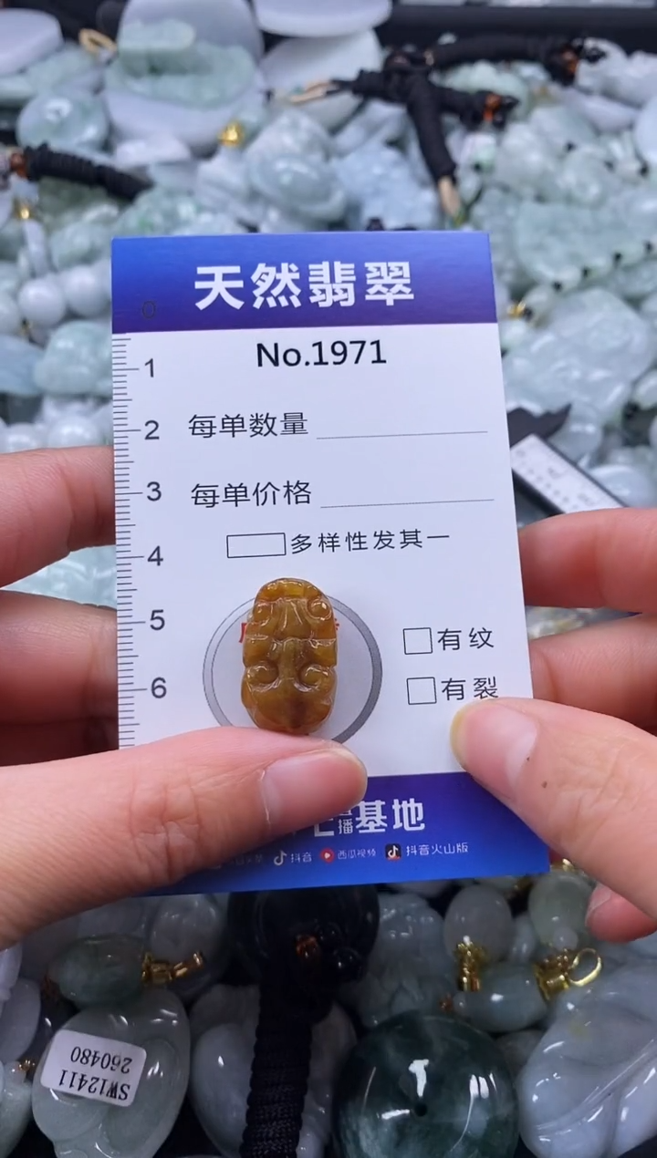【闪购商品】翡翠颈饰未镶嵌缅甸A货翡翠1971