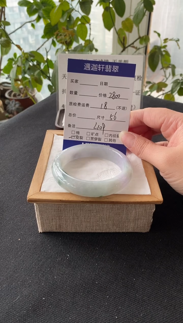 未镶嵌手镯翡翠56圈口 L109编码