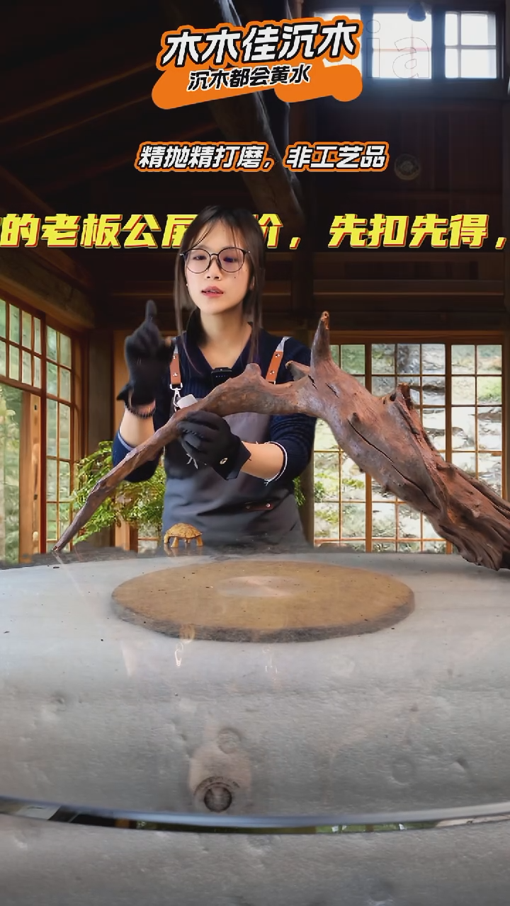 辰**?木木佳沉木鱼缸造景-947